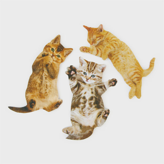 Cat Nail File - Assorted Designs Close Up