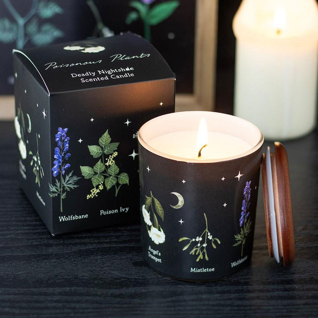 Poisonous Plants Deadly Nightshade Scented Candle