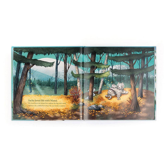 Sacha and the Most Wonderful Thing Children's Book Illustrations