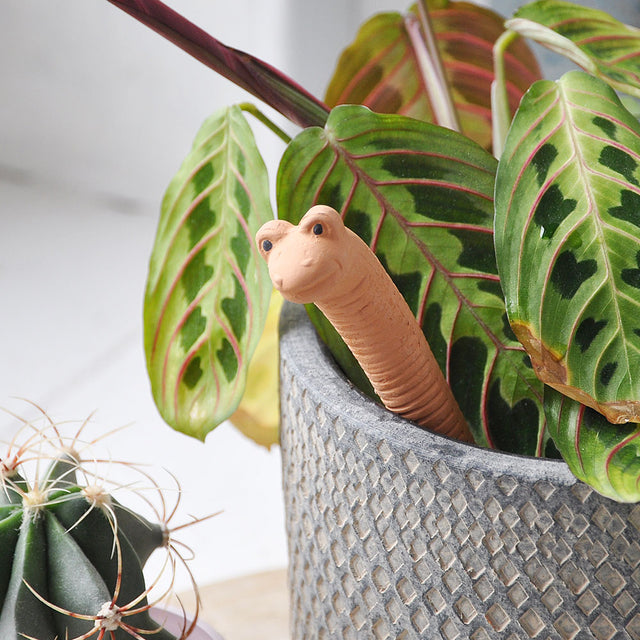 Mini Willy the Worm Plant Water Sensor