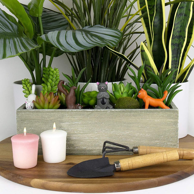 Mini Plant Pot Yoga Cats Decorations