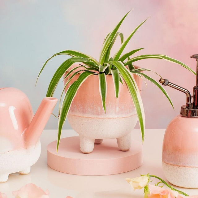 Pink Mojave Glaze Planter