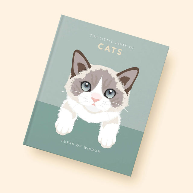 Little Book Of Cats