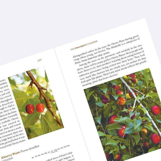 Foragers Calendar Book