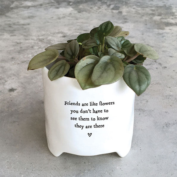Friends are Like Flowers Mini Porcelain Plant Pot