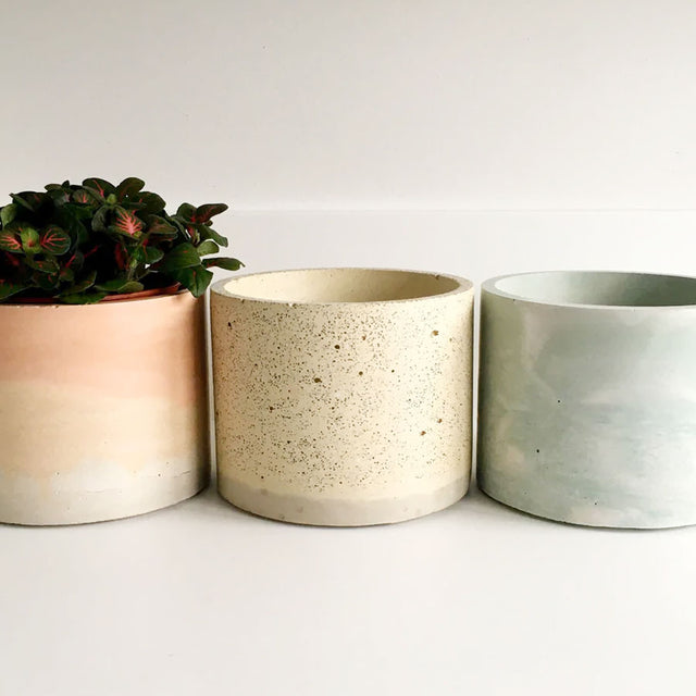 Small Round Flat Concrete Plant Pot - Assorted Designs