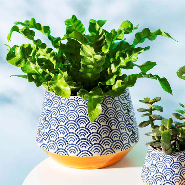 Large Blue Wave Planter