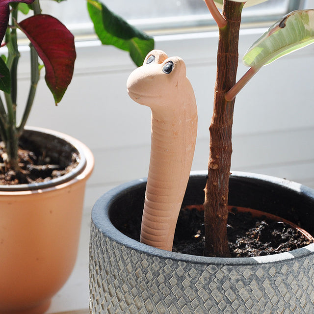 Willy The Worm Terracotta Water SensorWilly The Worm Terracotta Water Sensor