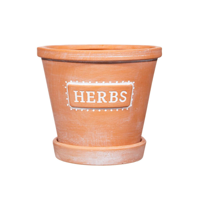 Herbs Terracotta Planters with Saucer