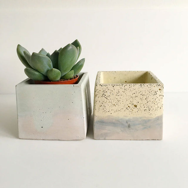 Small Square Concrete Plant Pot - Assorted Designs